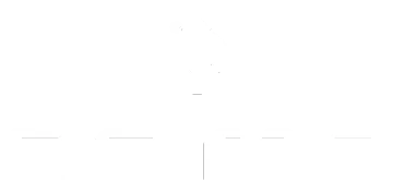 Animo · Spinsy Casino